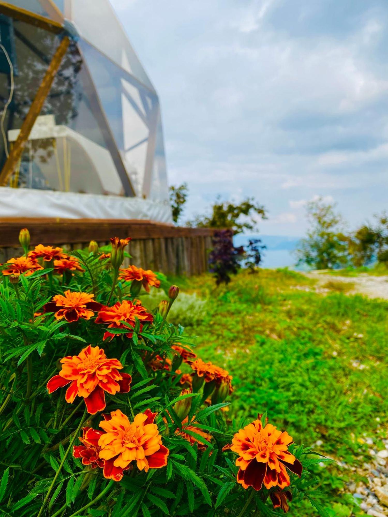 Phalesia Glamping Otel Sapanca Exterior foto